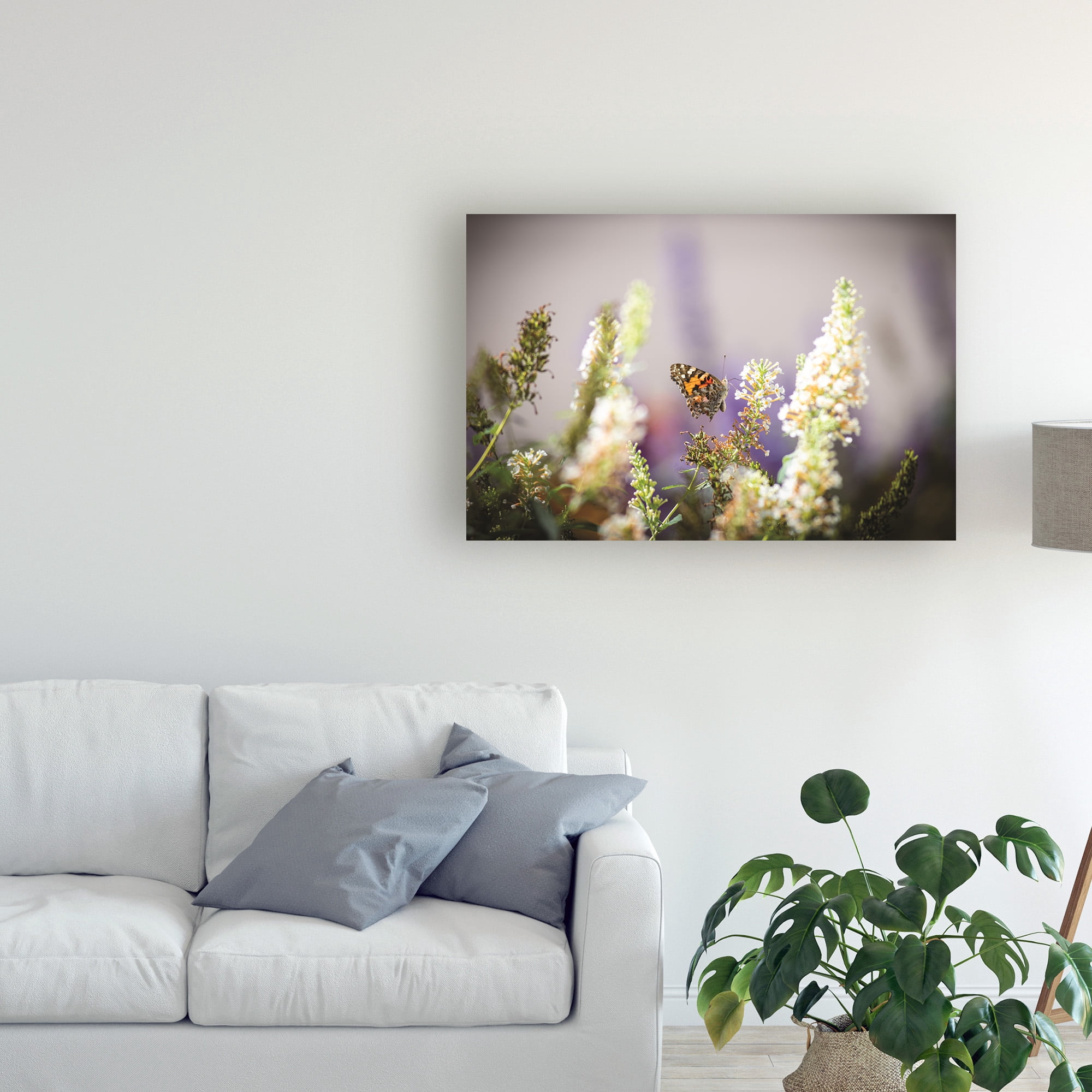 Trademark Fine Art 'Butterfly in my Garden' Canvas Art by Kurt Shaffer