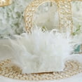 thumbnail image 2 of BalsaCircle 39" White Natural Turkey Feathers Trim Satin Ribbon Wedding Decorations, 2 of 5