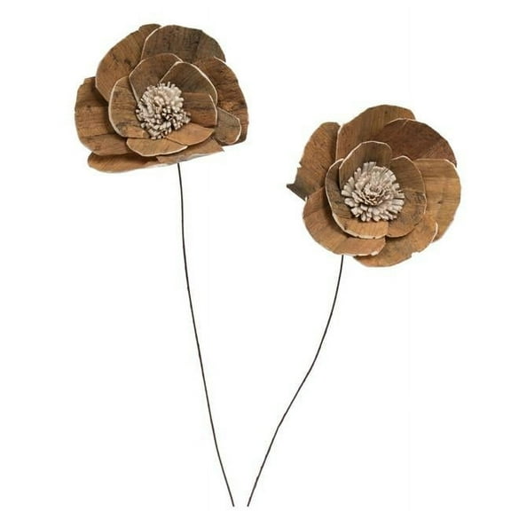 Vickerman 686287 - 4" Walnut Sola Flower on 12" Stem 12/bg (H7SFS016) Dried and Preserved Flowers