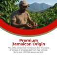 thumbnail image 6 of OH HEY BRANDS Jamaican Blue Mountain Whole Bean Coffee, 12 oz, Medium Roast, 100% Certified, Silky Chocolate & Citrus  Notes, 6 of 6