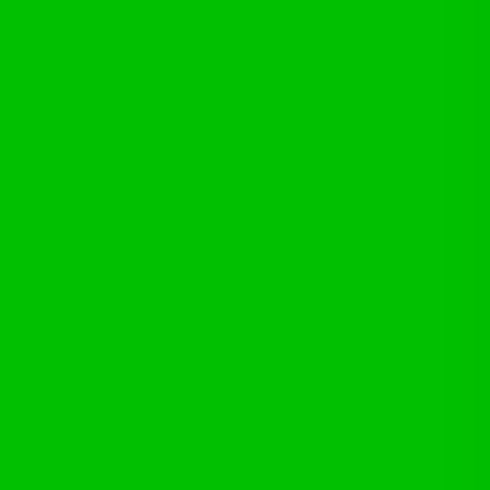Lee Filters Dark Yellow Green 24x21 Gel Filter Sheet