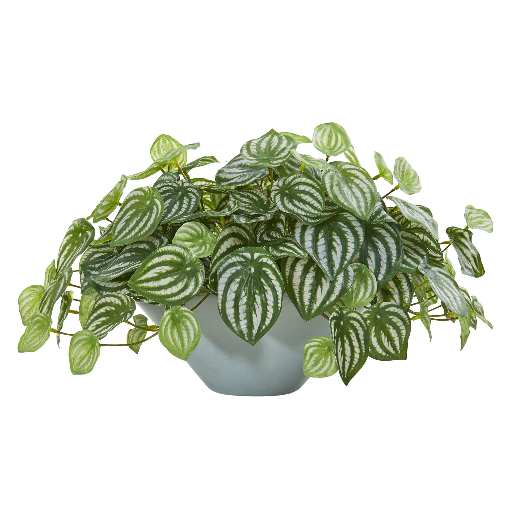 Nearly Natural 19? Watermelon Peperomia Artificial Plant