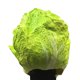 thumbnail image 3 of Máscara Cabbage Monster para disfraces de látex para Halloween, 3 of 3