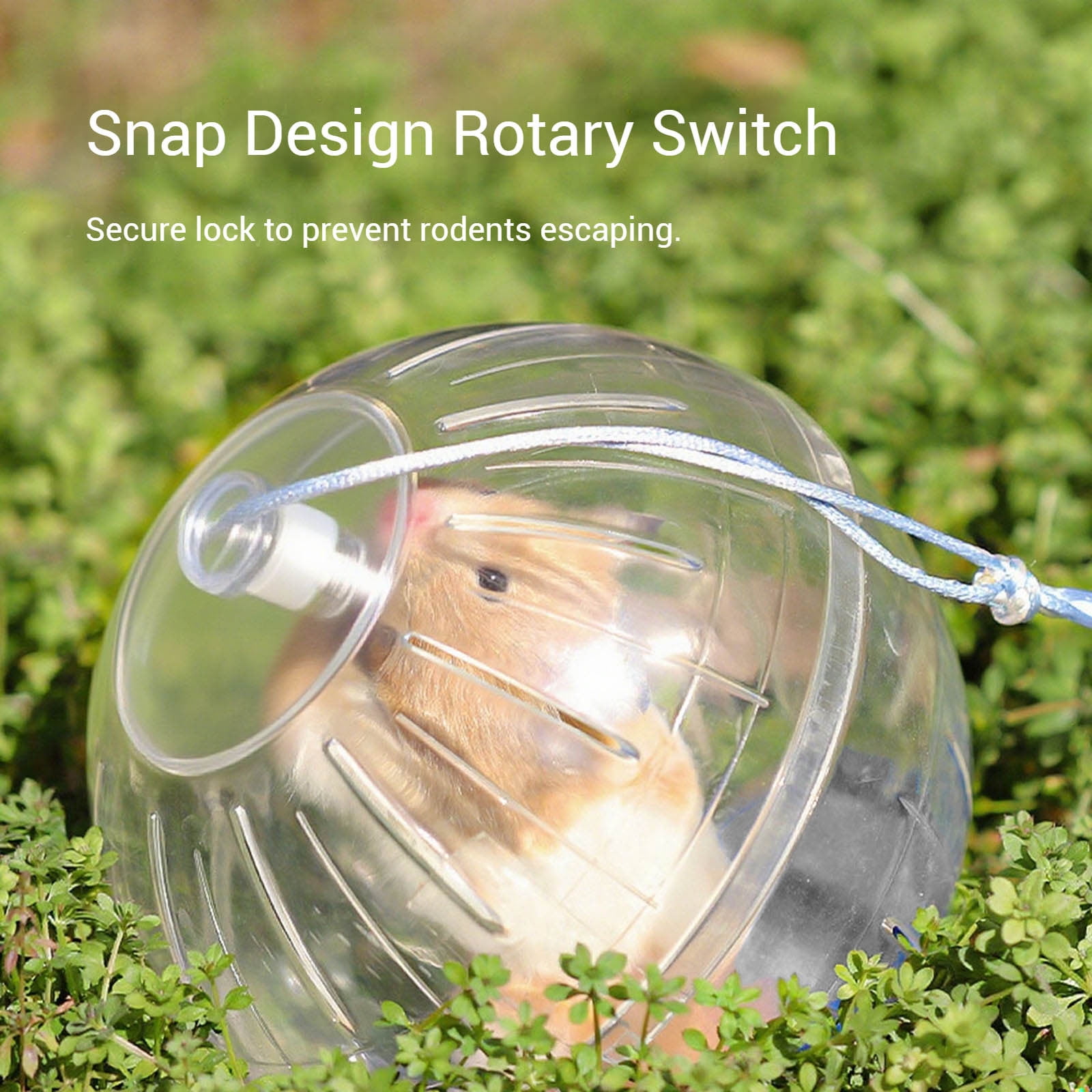 Transparent Interactive Hamster Exercise Small Animal Activity Training Toy for Enrichment and Physical Movement Stimulation