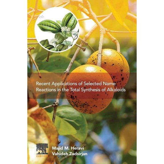 Recent Applications of Selected Name Reactions in the Total Synthesis of Alkaloids, (Paperback)