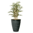 thumbnail image 1 of Artificial Faux Bamboo Tree 50" Fake Plant with Planter, 1 of 3