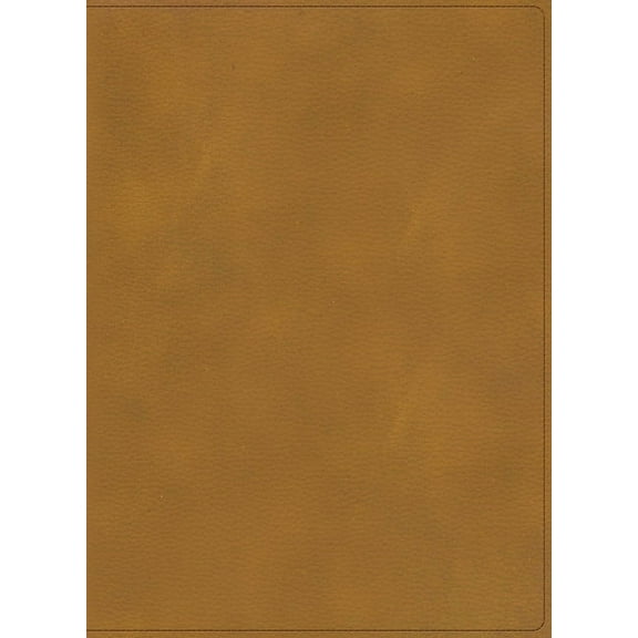 Rvr 1960 Biblia Ilustrada de la Tierra Santa, CafÃ© SÃ­mil Piel Con Ãndice, (Hardcover)