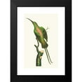 thumbnail image 2 of George Shaw 12x18 Black Modern Framed Museum Art Print Titled - The Shining Creeper (1789-1813), 2 of 5
