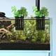 thumbnail image 5 of 10 piezas de cestas para plantas de pecera, macetas colgantes de pared para plantas acuáticas, soporte para plantas de pecera, suministros, 5 of 6