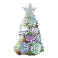 thumbnail image 1 of Surprise Christmas Gift Succulent Christmas Tree, 1 of 6