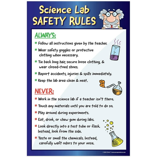 Lab Safety Goggles Rule