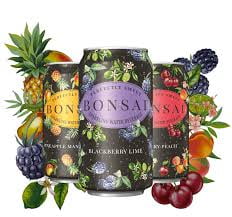 Bonsai™ Mango Pineapple Ginger Sweetened Sparkling Water, 12 oz Cans, 24 Pack