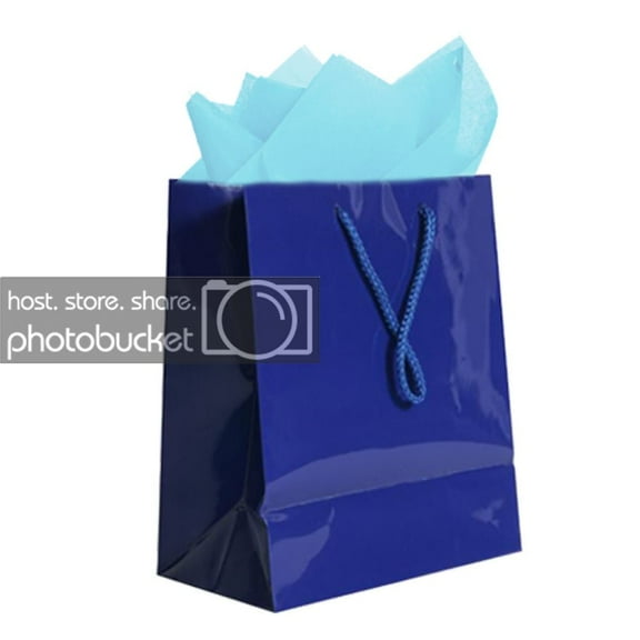 JAM Gift Bag Assortment, 2 Blue Bags & Baby Blue Tissue Paper, 3/Pack