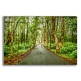 thumbnail image 1 of Epic Art 'Tropical Mauritius Road' by Mark A Paulda, Acrylic Glass Wall Art, 24"x16", 1 of 8