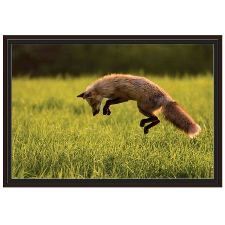Walnut Island Light - Red Fox Hunting, Prince Edward Island, Canada by Eazl Walnut Framed Premium Gallery Wrap