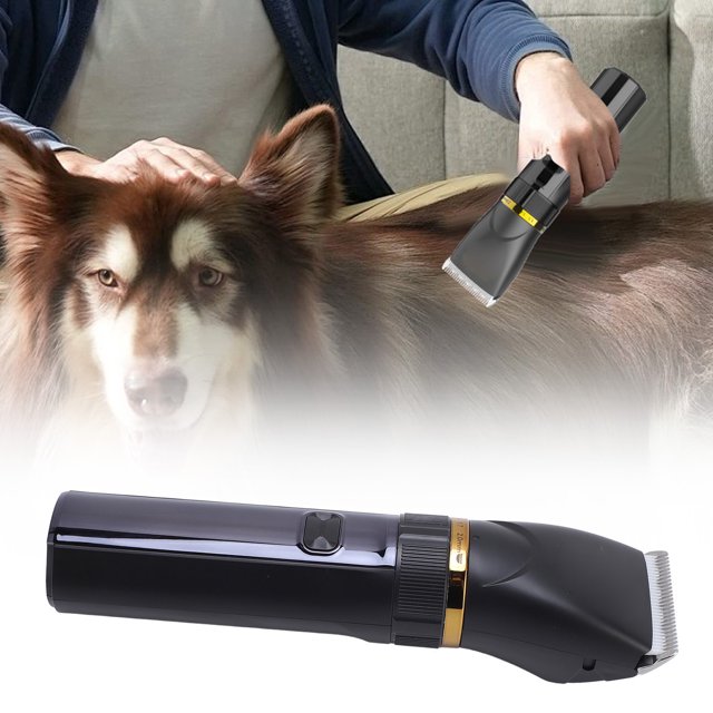Kit de Tondeuse pour Chien, Tondeuse à Poils de Chien 1200mAh pour Chat