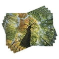 thumbnail image 1 of Ambesonne Tree Place Mats Set of 4, Forest Autumn Growth Eco, Standard Size, Dark Brown Pale Green, 1 of 6