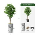 thumbnail image 3 of Artificial Tree in Gray Marble Effect Planter, Fake Ficus Silk Tree for Indoor and Outdoor Home Decoration - 75" Overall Tall (Plant Pot Plus Tree), 3 of 5
