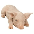 thumbnail image 7 of HI-LINE GIFT LTD. PIG SLEEPING, 7 of 7