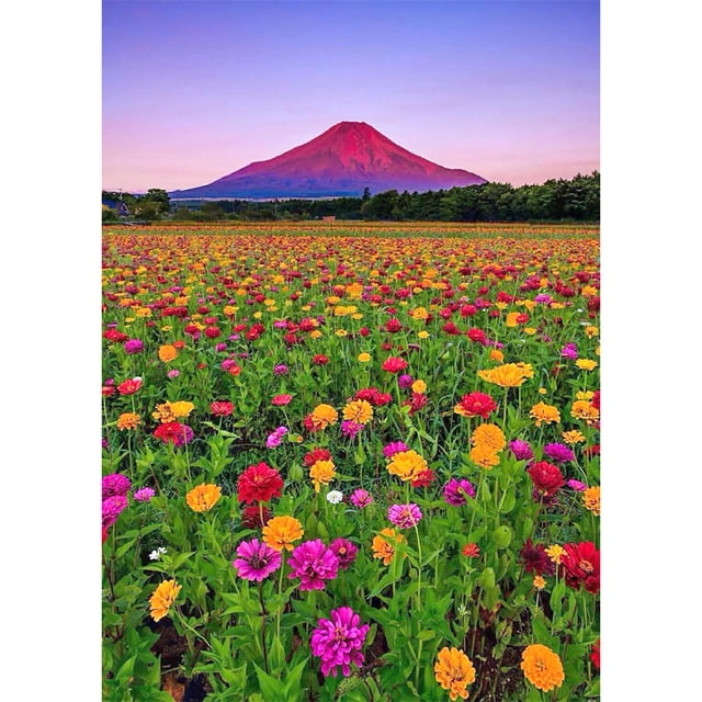 Pintura de diamante (DE1660) Flores silvestres 5D DIY Paisaje cuadrado Mosaico Arte Artesanía 30x40cm Hugtrwg Para estrenar