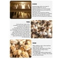 thumbnail image 4 of Yolispa 36 Egg Incubator with Automatic Turning, Humidity & Temperature Control, Egg Candler for Chicken & Bird Eggs, 4 of 8