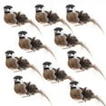 thumbnail image 2 of Famyfamy Christmas Tree Ornament Artificial Bird Decor Tree Lawn Home Garden Artificial Bird Ornaments For Christmas Garden Tree Decoration Christmas Birds Clip On Christmas Tree 12 Pcs, 2 of 12