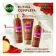 thumbnail image 4 of Crema para peinar Sedal fuerza y crecimiento café y óleo de ricino 300 ml, 4 of 4