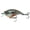 Bluegill Spawn, variant on 6th Sense – Curve Finesse Squarebill Crankbait Bass Fishing Lure, Shallow Hunting Action