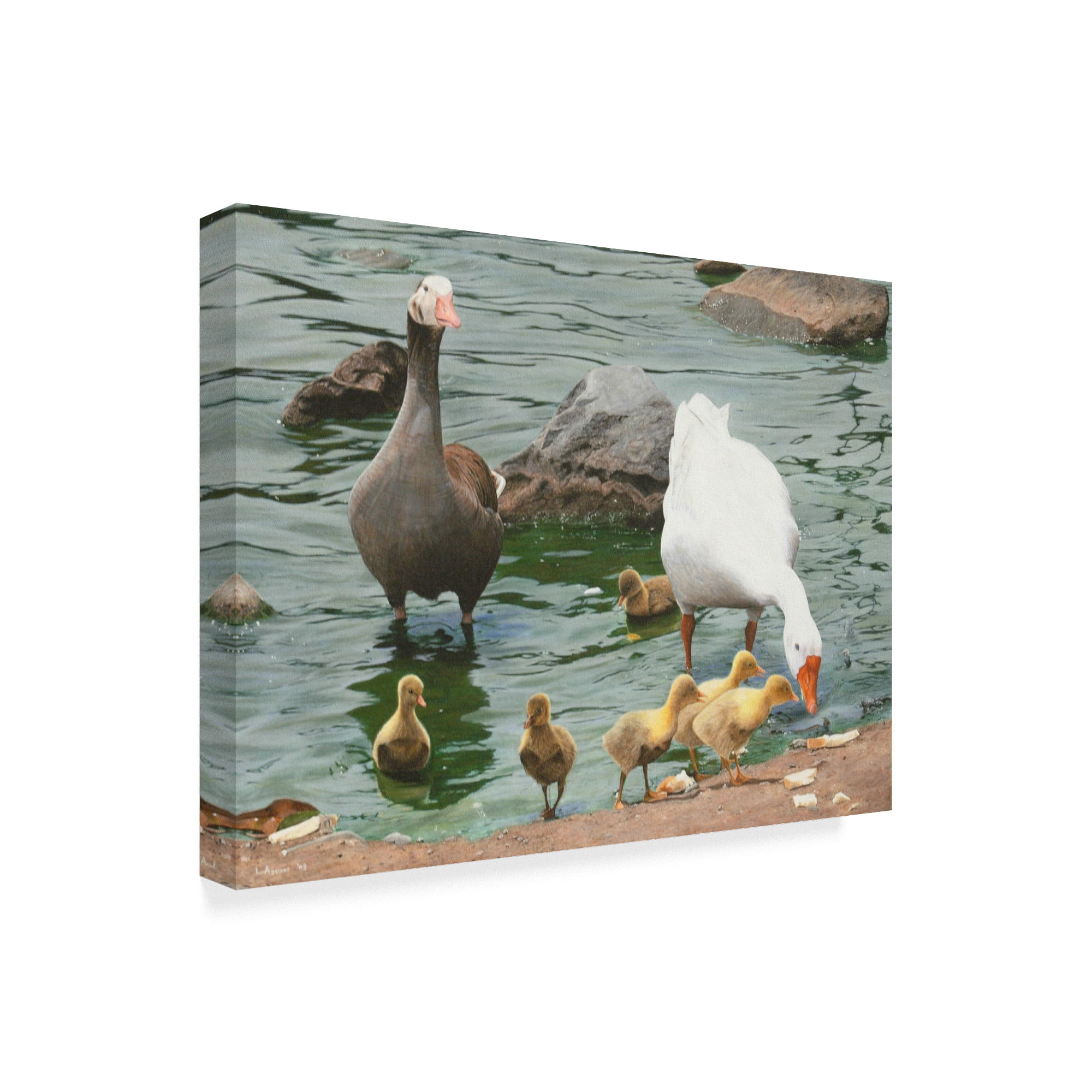 Trademark Fine Art 'The Family Ducks' Canvas Art by Luis Aguirre