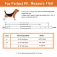 thumbnail image 2 of Beirui Custom PU Leather Dog Collar Personalized Name Adjustable for Small Medium Dogs, 2 of 10