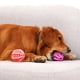 thumbnail image 2 of Juguetes Para Mascotas Juguetes Para Perros Pelota Rebotadora Juguetes Para Perros Pelota Para Dientes Tpr, 2 of 4