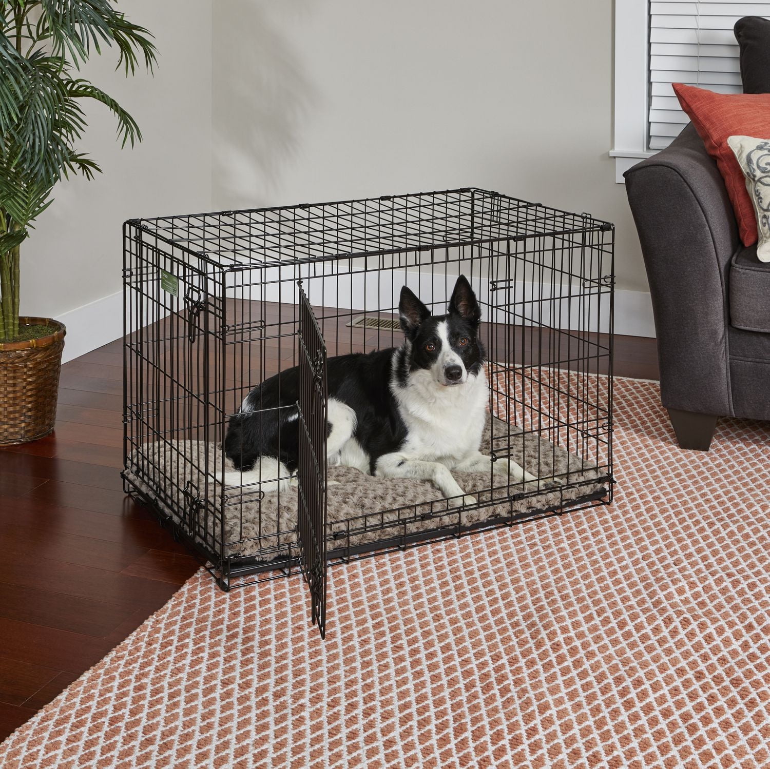 Midwest Homes For Pets Intermediate 36" iCrate Dog Cage 2-Door