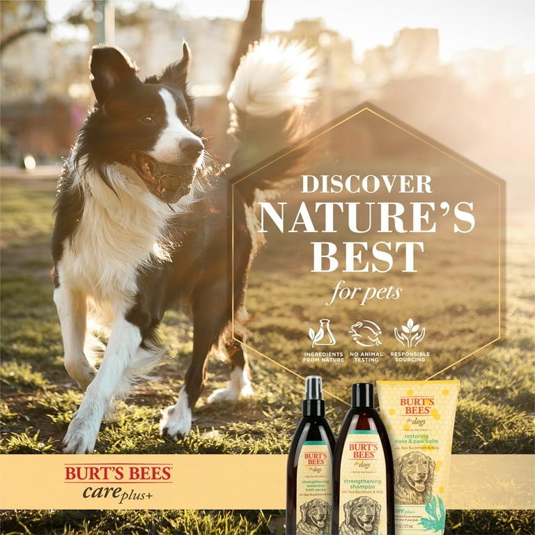 Burt's bees dog paw and nose lotion 2025