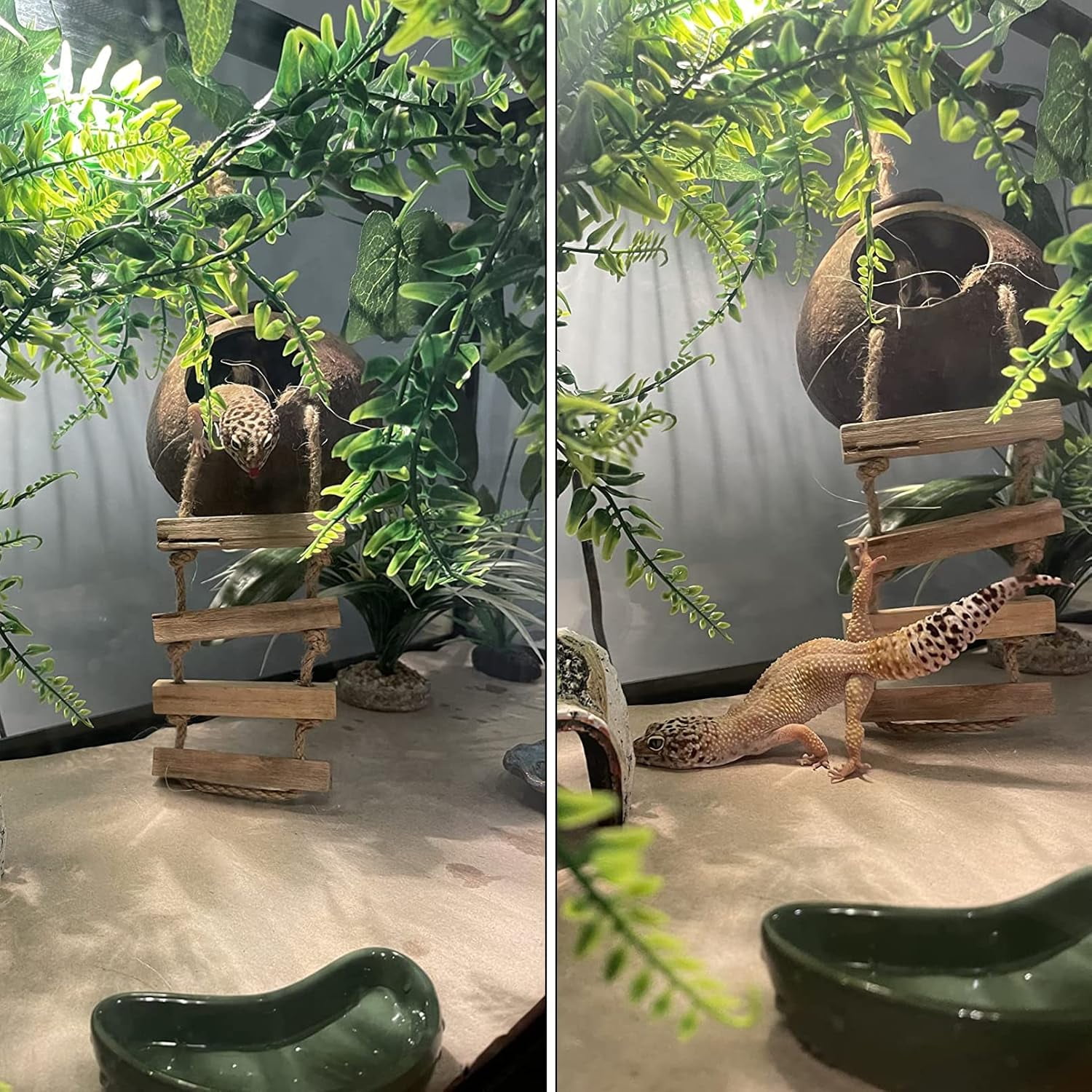 Lizard Coco Den with Ladder,Leopard Gecko Coconut Husk Hut Hideout Home Reptile Hammock Climbing Hanging Plants Decor Habitat Tank Accessories for Bearded Dragon Snake Chameleon