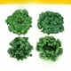 thumbnail image 2 of Enredadera de hojas de uva de imitación, geco de ratán, planta de hojas de imitación de plástico, hoja de rosa verde, flor artificial, enredadera decorativa, 2 of 5