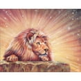 thumbnail image 2 of CafePress - Dawn Lion Throw Blanket - Soft Fleece Throw Blanket, 50"x60" for All Ages, 2 of 2