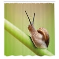 thumbnail image 2 of Ambesonne Snail Shower Curtain, Garden Animal on Stem Plant, 69"Wx70"L, Lime Green Pale Caramel, 2 of 4