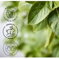 thumbnail image 5 of GreenHealth 100% Pure Rose Geranium Essential Oil - Uncut, Natural Aromatherapy Oil - 1 fl oz, 5 of 5