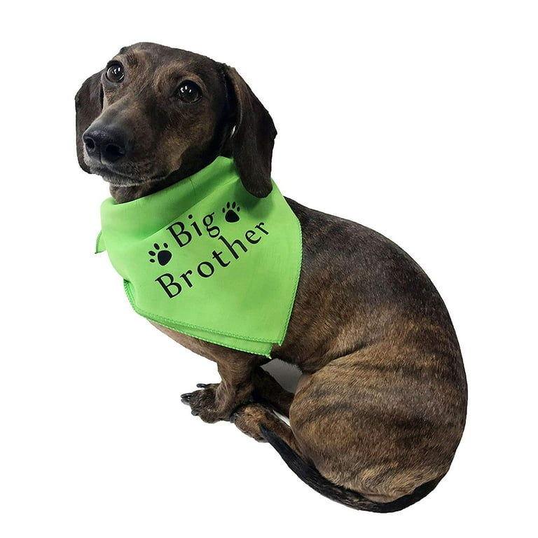 Big 2025 brother bandana