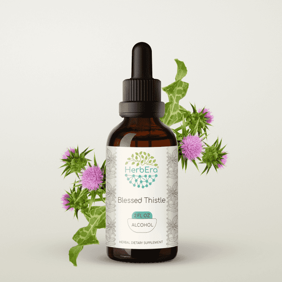 HerbEra Blessed Thistle Tincture, Herbal Dietary Supplement for Digestive Support, Blessed Thistle (Cnicus benedictus) Dried Leaf Extract, Natural, Alcohol Tincture, Drops 2 oz