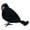 B, variant on BNNG Halloween Black Feathered Crows, Realistic Feathered Black Birds Raven, Halloween Decoration for Indoor Outdoor Home Yard Garden Party Decor