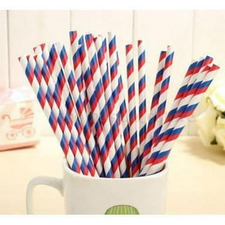 Stainless Steel Straws with Brush - Candy Cane - Set of 2 — Bar