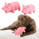 thumbnail image 3 of Juguete De Protección De Dientes De Perro, 2 Uds., 15cm, 20cm, Modelo De Cerdo Con Sonido, 3 of 8