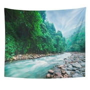 ZEALGNED Mysterious Mountainous Jungle Trees Leaning Over Fast Stream Rapids Magical Wall Art Hanging Tapestry Home Decor for Living Room Bedroom Dorm 51x60 inch