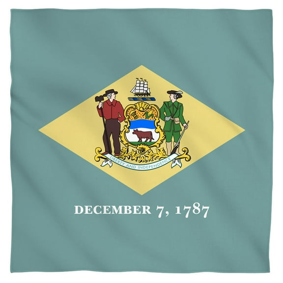 - Delaware Flag - Bandana - 22" x 22"