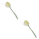 thumbnail image 4 of Cepillo para el cuerpo Cateissary de mango largo exfoliante de ducha de baño, 4 of 6
