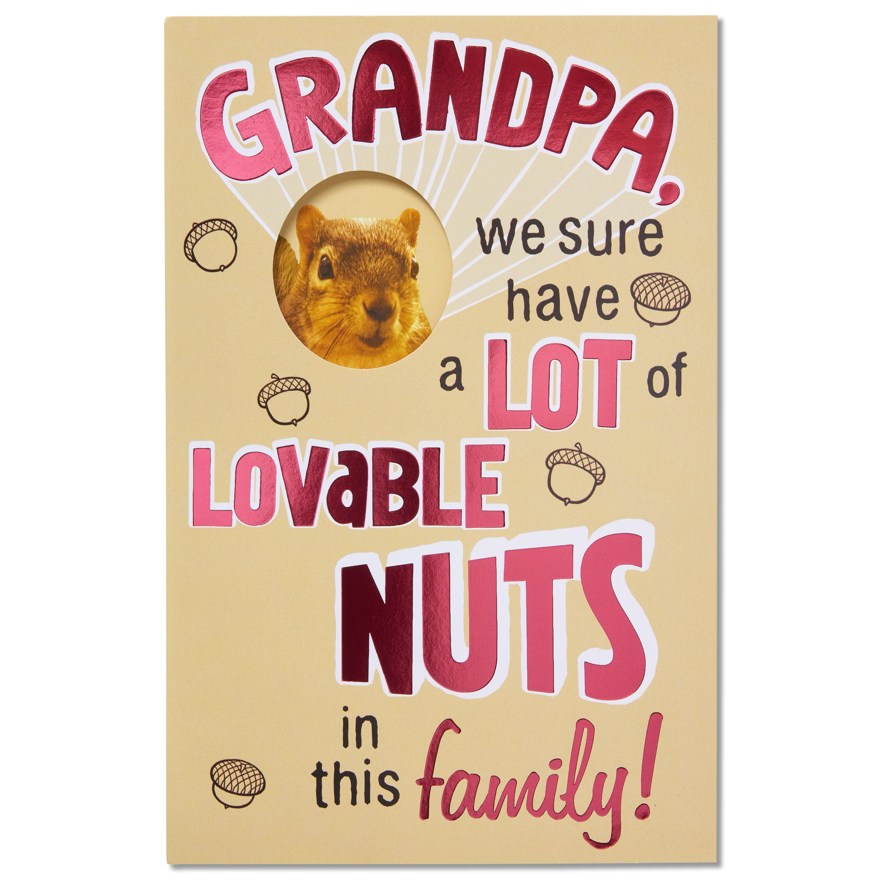 Download Funny Lovable Nuts Birthday Card For Grandpa With Foil Walmart Com Walmart Com