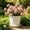 Beige, variant on YHAICO Large Wood Effect Plastic Planter - Brown Flower Pot with Tray for Patio Decor, Deep Planting Container for Outdoor Balcony Garden, Home & Office Plants