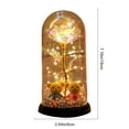 thumbnail image 3 of Rose Gifts for Women, Galaxy Glass Rose Light Up Roses In Glass Dome Colorful Crystal Flower with Couple Bear Decoration Holiday Gifts (Multicolor), 3 of 6