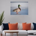 thumbnail image 5 of ADALE Beautiful Mallard Duck Fun Animal Wall Art Poster Wall Art Painting Canvas Decor Modern Family Home Decor Background Wall Decor Unframed 24x20 Inch, 5 of 6